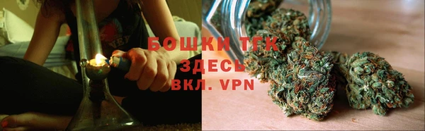 мдпв Верея